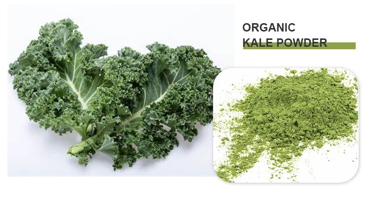 Bulk Kale Powder.jpg